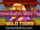 Hermesbahis wild tiger slot oyunuyla dikkat çekmektedir.